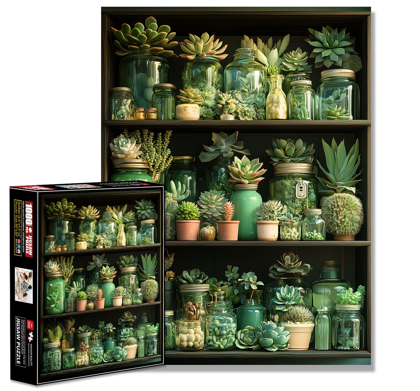 Three layer succulent rack Jigsaw Puzzle 1000 Pieces