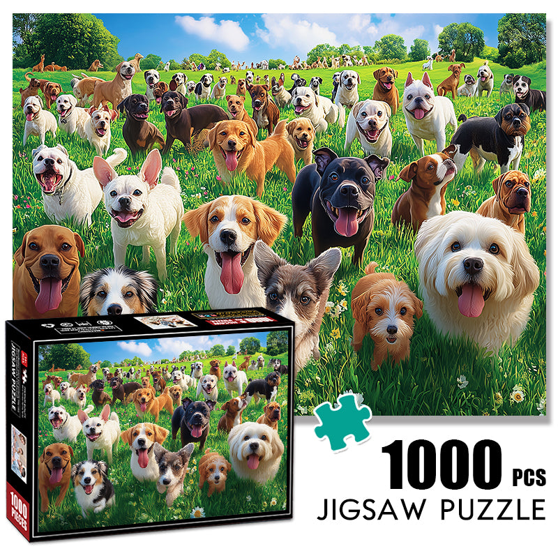 The dog on the grass Jigsaw Puzzle 1000 Pieces