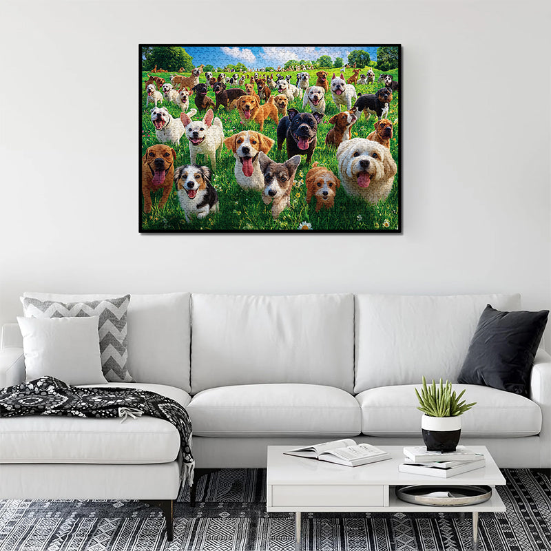 The dog on the grass Jigsaw Puzzle 1000 Pieces