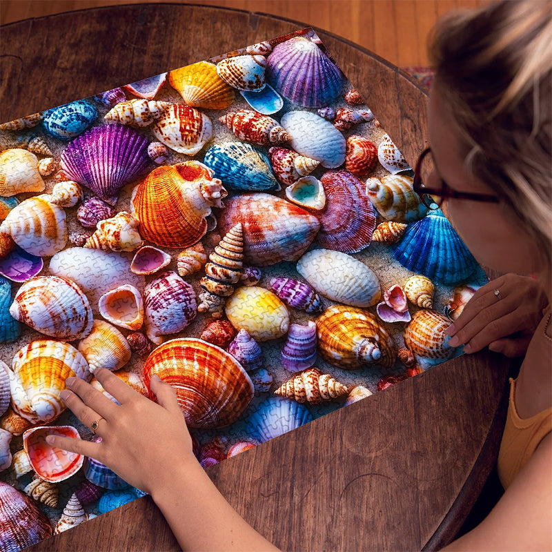 Rainbow Shell 1000 Piece Jigsaw Puzzle for Adults